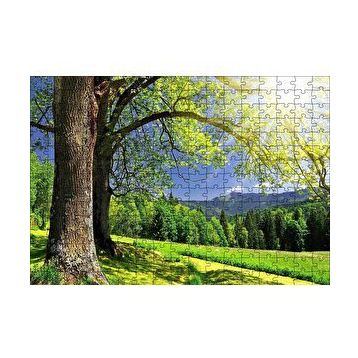 Cakapuzzle Yemyeşil Ağaçlar ve Güneş Işıkları 255 Parça Puzzle