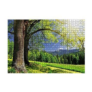 Cakapuzzle Yemyeşil Ağaçlar ve Güneş Işıkları 255 Parça Puzzle