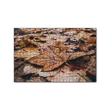 Cakapuzzle Yerde Sararmış Yapraklar 120 Parça Ahşap Puzzle