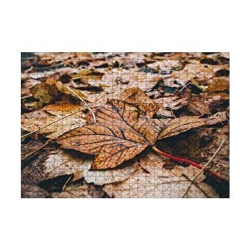 Cakapuzzle Yerde Sararmış Yapraklar 120 Parça Ahşap Puzzle