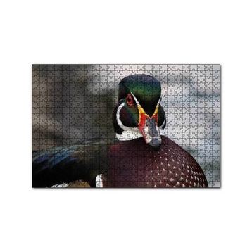 Cakapuzzle Yeşil Başlı Ördek Yakın Plan 120 Parça Ahşap Puzzle