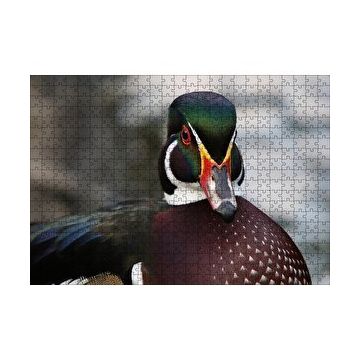 Cakapuzzle Yeşil Başlı Ördek Yakın Plan 120 Parça Ahşap Puzzle