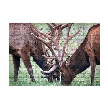 Cakapuzzle Yeşil Çayırda Otlayan Boynuzlu Geyikler 120 Parça Ahşap Puzzle