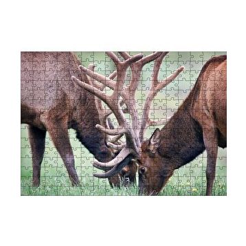 Cakapuzzle Yeşil Çayırda Otlayan Boynuzlu Geyikler 120 Parça Ahşap Puzzle