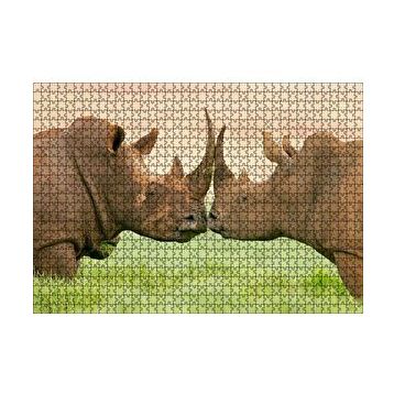 Cakapuzzle Yeşil Çayırdaki Erkek ve Dişi Gergedan 120 Parça Ahşap Puzzle