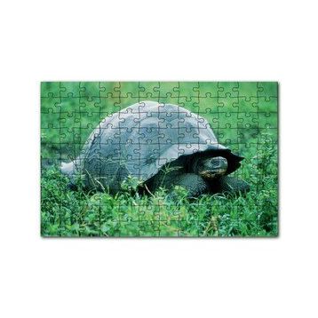 Cakapuzzle Yeşil Çayırdaki Kaplumbağa 120 Parça Ahşap Puzzle