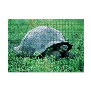 Cakapuzzle Yeşil Çayırdaki Kaplumbağa 120 Parça Ahşap Puzzle