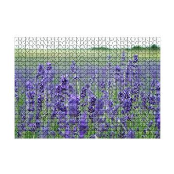 Cakapuzzle Yeşil Çayırlar ve Lavantalar 120 Parça Ahşap Puzzle