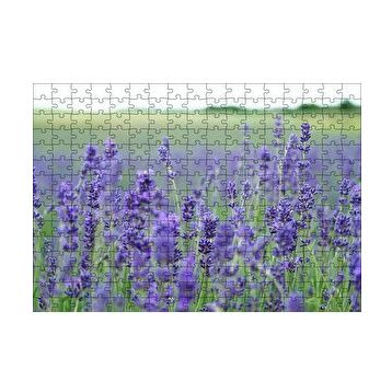 Cakapuzzle Yeşil Çayırlar ve Lavantalar 120 Parça Ahşap Puzzle