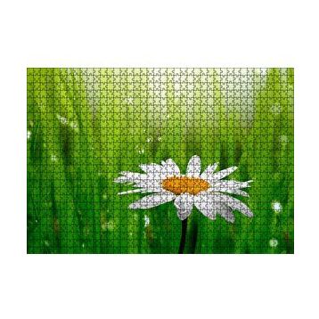 Cakapuzzle Yeşil Çimenler Papatya ve Su Damlaları 120 Parça Ahşap Puzzle