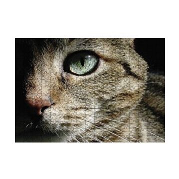 Cakapuzzle Yeşil Gözlü Kedi 120 Parça Ahşap Puzzle