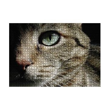 Cakapuzzle Yeşil Gözlü Kedi 120 Parça Ahşap Puzzle