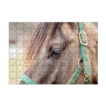 Cakapuzzle Yeşil Koşumlu Kahverengi At Yakın Çekim 120 Parça Ahşap Puzzle