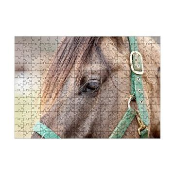 Cakapuzzle Yeşil Koşumlu Kahverengi At Yakın Çekim 120 Parça Ahşap Puzzle