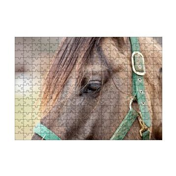 Cakapuzzle Yeşil Koşumlu Kahverengi At Yakın Çekim 120 Parça Ahşap Puzzle
