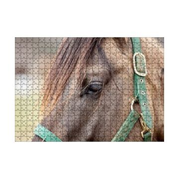 Cakapuzzle Yeşil Koşumlu Kahverengi At Yakın Çekim 120 Parça Ahşap Puzzle
