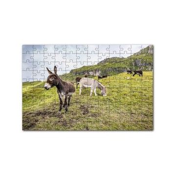Cakapuzzle Yeşil Tepelerde Otlayan Eşekler 120 Parça Ahşap Puzzle
