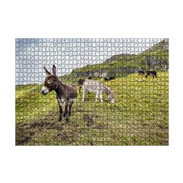 Cakapuzzle Yeşil Tepelerde Otlayan Eşekler 120 Parça Ahşap Puzzle
