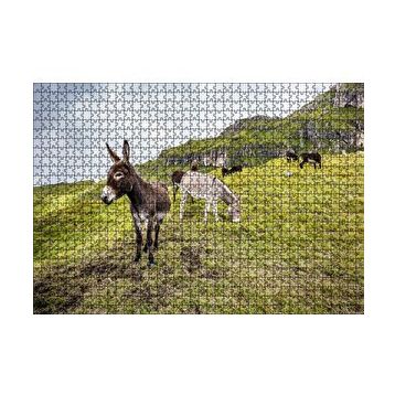 Cakapuzzle Yeşil Tepelerde Otlayan Eşekler 120 Parça Ahşap Puzzle