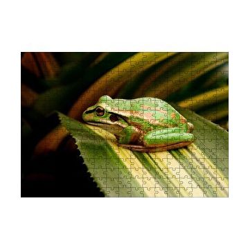 Cakapuzzle Yeşil Yaprak Üzerindeki Yeşil Kurbağa 120 Parça Ahşap Puzzle