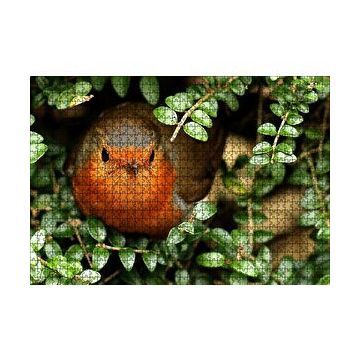 Cakapuzzle Yeşil Yapraklar Arasındaki Kızıl Kuş 120 Parça Ahşap Puzzle