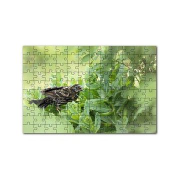 Cakapuzzle Yeşil Yaprakların Arasındaki Bıldırcın 120 Parça Ahşap Puzzle