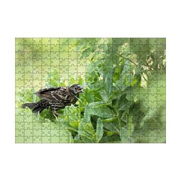 Cakapuzzle Yeşil Yaprakların Arasındaki Bıldırcın 120 Parça Ahşap Puzzle