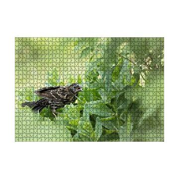Cakapuzzle Yeşillikler İçinde Sığırcık Kuşu Görseli 120 Parça Ahşap Puzzle
