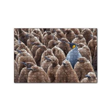 Cakapuzzle Yetişkin Kral Penguven ve Yavru Penguenler Görseli 120 Parça Ahşap Puzzle