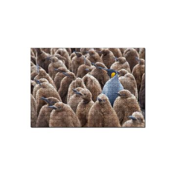 Cakapuzzle Yetişkin Kral Penguven ve Yavru Penguenler Görseli 120 Parça Ahşap Puzzle