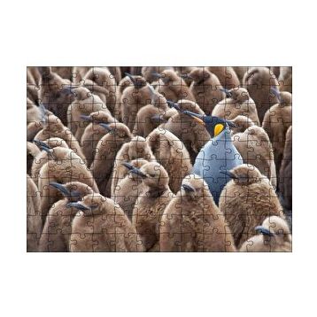 Cakapuzzle Yetişkin Kral Penguven ve Yavru Penguenler Görseli 120 Parça Ahşap Puzzle