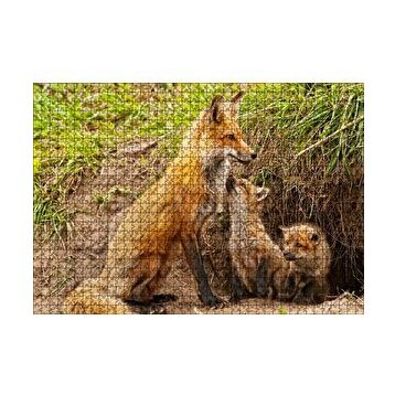 Cakapuzzle Yuvanın Girişinde Anne Tilki ve Yavruları 120 Parça Ahşap Puzzle