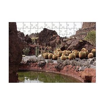 Cakapuzzle Yuvarlak Kaktüsler ve Kayalar 120 Parça Ahşap Puzzle