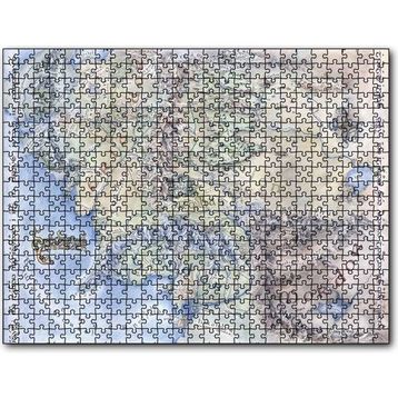 Cakapuzzle Yüzüklerin Efendisi Ortadünya Haritası 255 Parça Puzzle