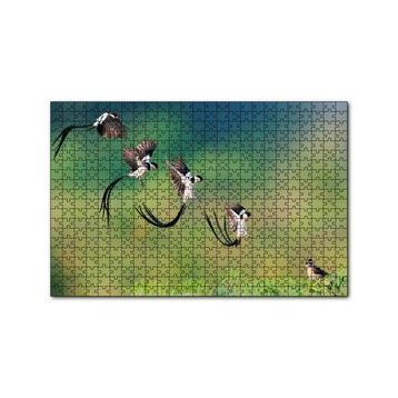 Cakapuzzle Zaman Atlamalı Fotoğrafçılık Kuş Görseli 120 Parça Ahşap Puzzle