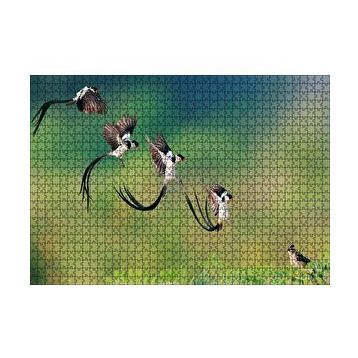 Cakapuzzle Zaman Atlamalı Fotoğrafçılık Kuş Görseli 120 Parça Ahşap Puzzle