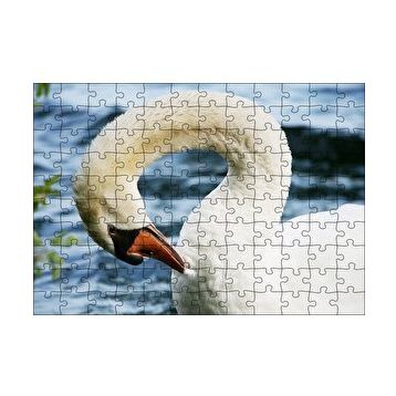 Cakapuzzle Zarif Beyaz Kuğu Yakın Plan 120 Parça Ahşap Puzzle