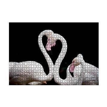 Cakapuzzle Zarif Boyunlarıyla Beyaz Flamingolar 120 Parça Ahşap Puzzle