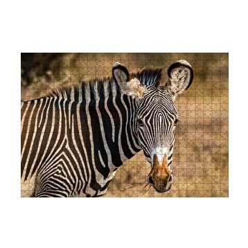 Cakapuzzle Zebra ve Muhteşem Dalgalı Şeritleri 120 Parça Ahşap Puzzle