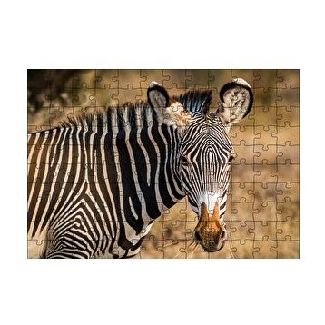 Cakapuzzle Zebra ve Muhteşem Dalgalı Şeritleri 120 Parça Ahşap Puzzle