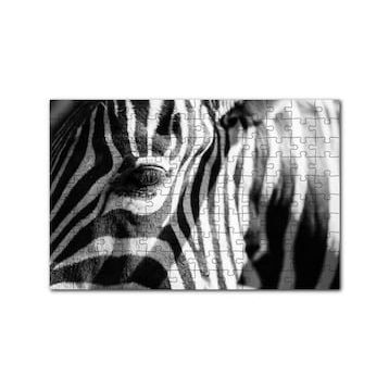 Cakapuzzle Zebra Yakın Çekim Siyah Beyaz 120 Parça Ahşap Puzzle