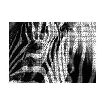 Cakapuzzle Zebra Yakın Çekim Siyah Beyaz 120 Parça Ahşap Puzzle