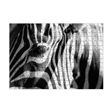 Cakapuzzle Zebra Yakın Çekim Siyah Beyaz 120 Parça Ahşap Puzzle