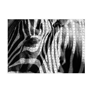Cakapuzzle Zebra Yakın Çekim Siyah Beyaz 120 Parça Ahşap Puzzle