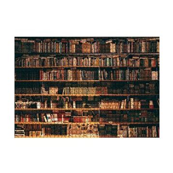 Cakapuzzle Zengin Kitaplık 120 Parça Ahşap Puzzle
