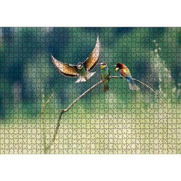 Cakatablo Bir Dalda Renkli Kuşlar 1000 Parça Puzzle
