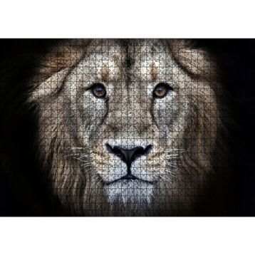 Cakatablo Erkek Aslan Siyah Zemin 1000 Parça Puzzle