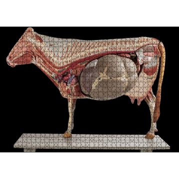 Cakatablo İneğin İç Organlarının Görseli 1000 Parça Puzzle
