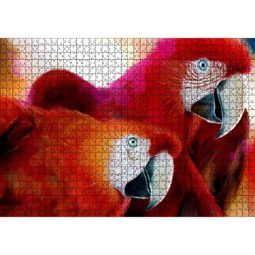 Cakatablo Kırmızı Papağanlar 1000 Parça Puzzle