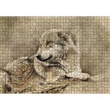 Cakatablo Kurt Eski Fotoğraf 1000 Parça Puzzle